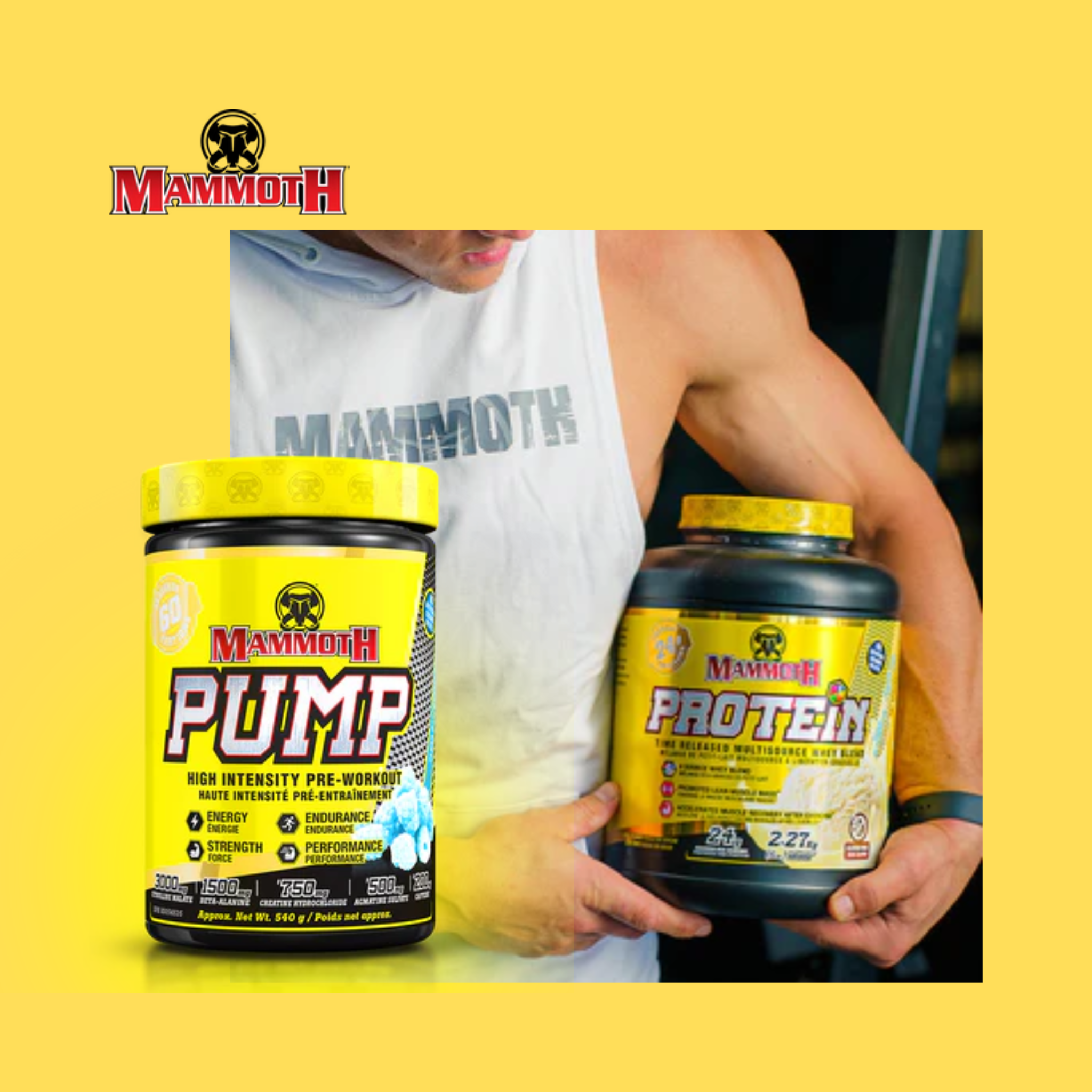 Mammoth Supplements