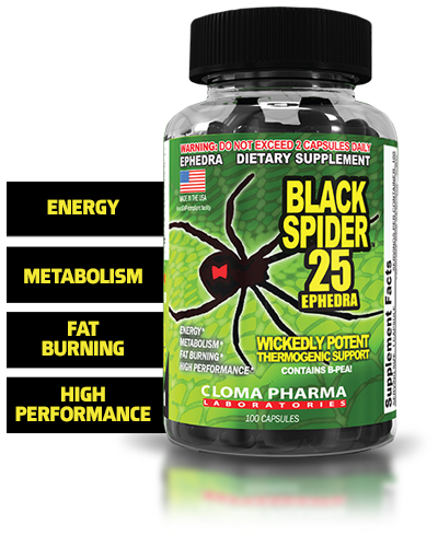 Black Spider's fat-burning