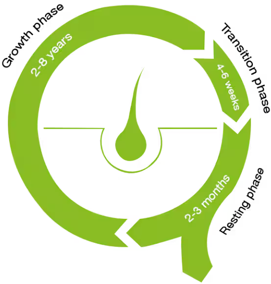 Capsules for hair growth Priorin®N Capsules